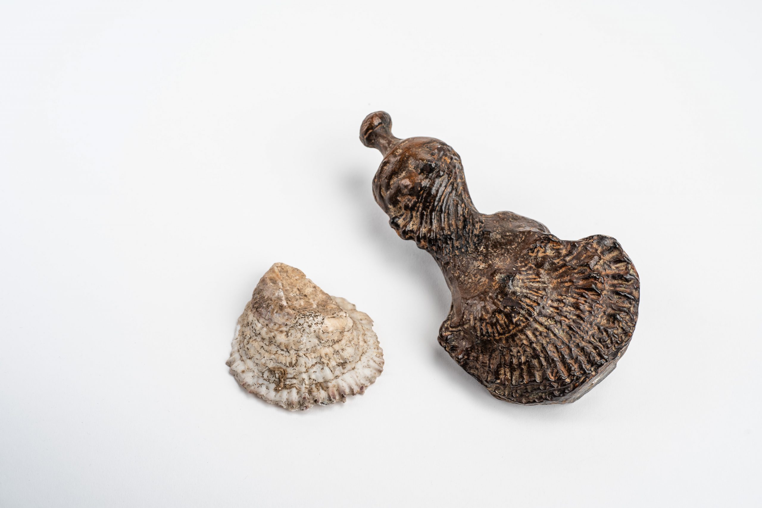 Henry Moore's <em>Standing figure</em>, woman in skirt, cast made from oyster shell, next to <em>Ostrea edulis</em>, commonly known as the European flat oyster. Found in British waters.