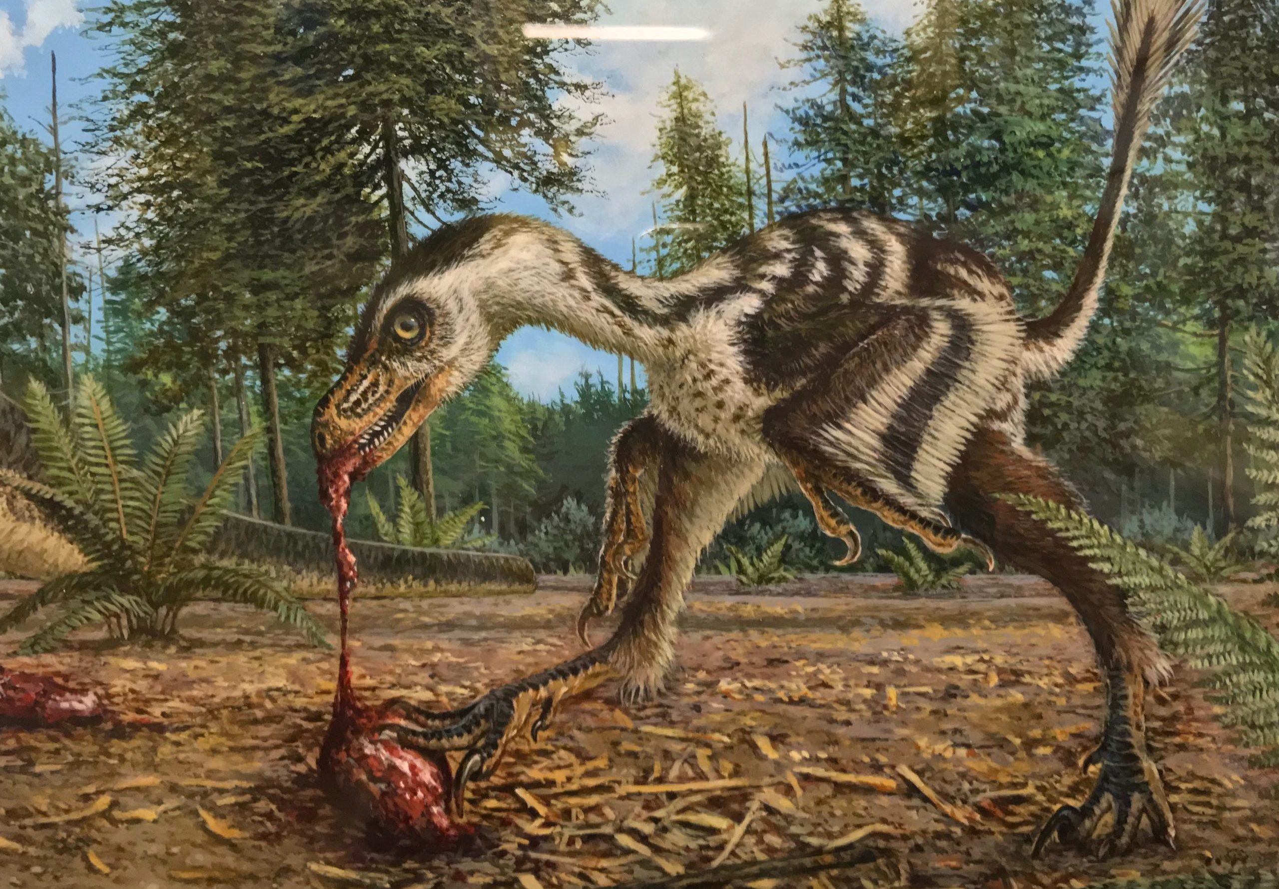 Michael Skrepnick's illustration of the Bambiraptor feasting on a small animal.