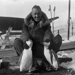 Ellsworth with penguins