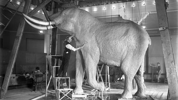 Akeley modeling the elephant