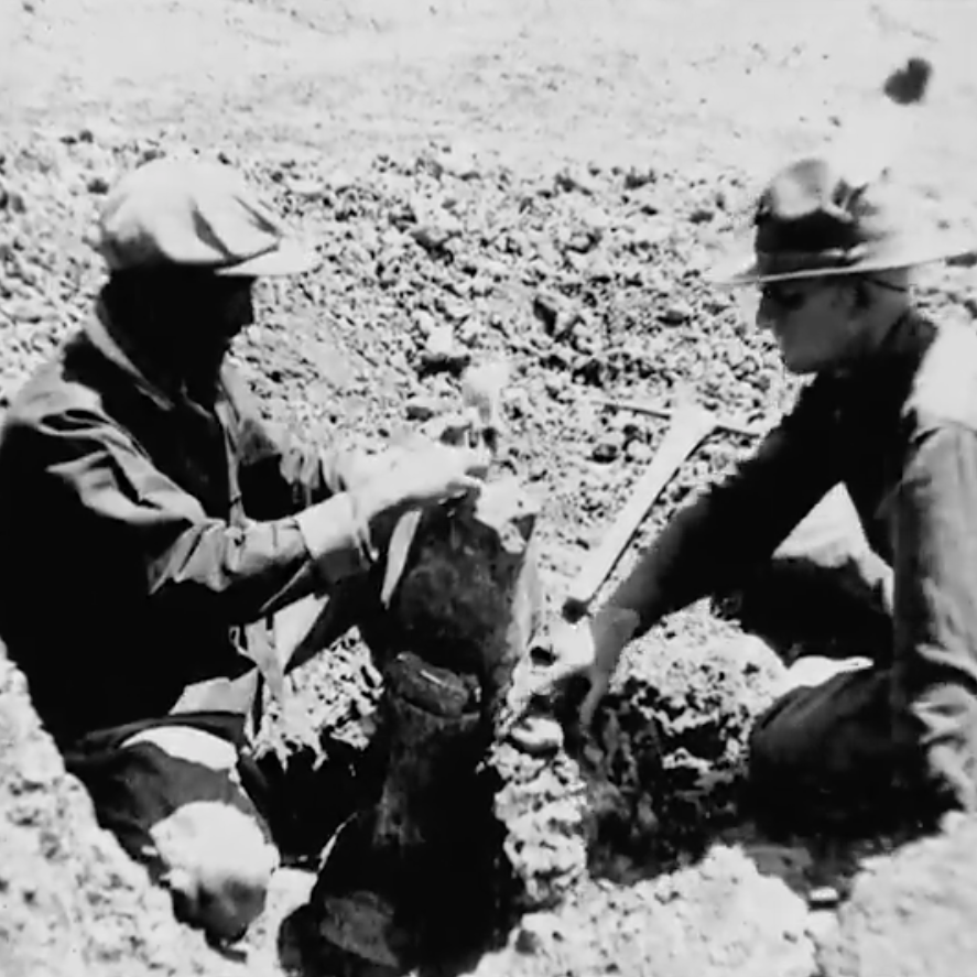 Archeologists in expedition