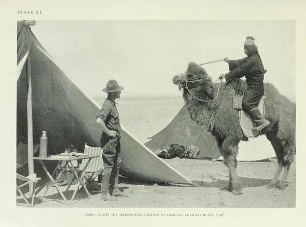 Opening image from the East Asia Expedition reels, featuring Roy Chapman Andrews and a local Mongolian camel driver.