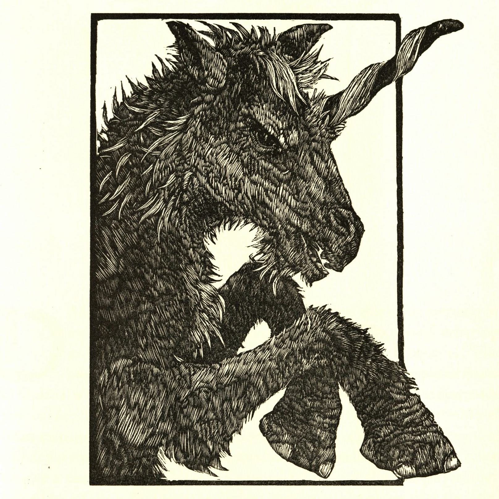 Unicorn bestiary drawing (square)