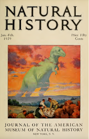 Jansson's Painting was featured on the cover of the Natural History Journal.