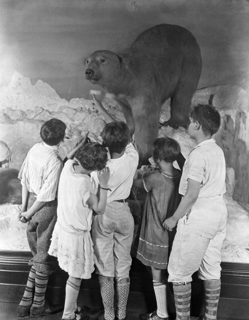 A black and white photograph of a group of young children gathered around a diorama of a polar bear.