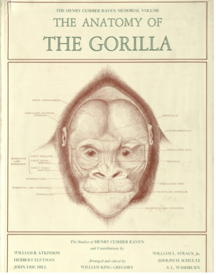 Cover from The Anatomy of the gorilla