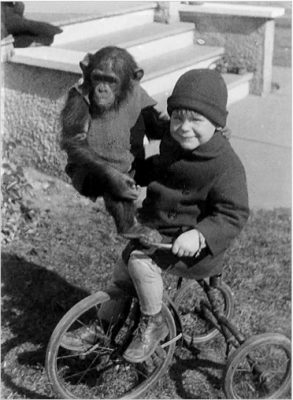 Image of Raven's son and the chimpanzee Mishie.